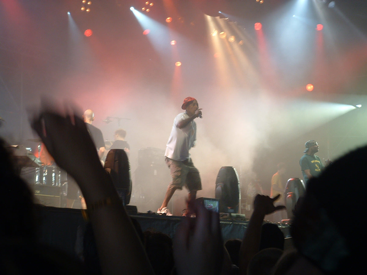 N.E.R.D. op het podium, gefotografeerd vanuit het publiek in 2004