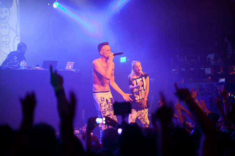 DIE ANTWOORD