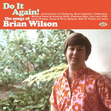 Wilson, Brian – Do It Again! cd