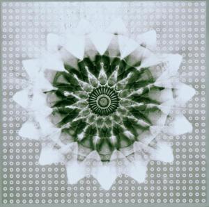 Jon Hassell Vs 808 State – Voiceprint cd