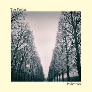 The Feelies – In Between (1LP Vinyl)