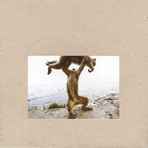 Shellac – Dude Incredible (2LP Vinyl)