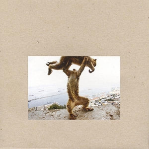 Shellac – Dude Incredible (1CD)