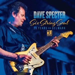 Specter, Dave & Lenny Lynn – Six String Soul. 30 Years On Delmark (2LP Vinyl)