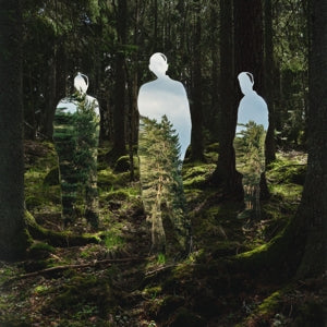 Johannes Brecht Trio – Disparaitre (1LP Vinyl)