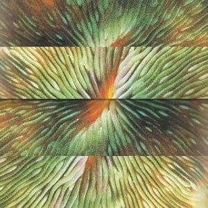 Active Surplus – Mirroring vinyl