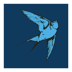 Speight, Tom – Love & Light (1LP Vinyl)
