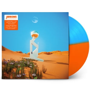 Arrows In Action – I Think I've Been Here Before (1LP Vinyl)