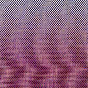 Akinmusire, Ambrose & Mary Halvorson – Slo-Mo Neon Luminate Hoverings (1LP Vinyl)