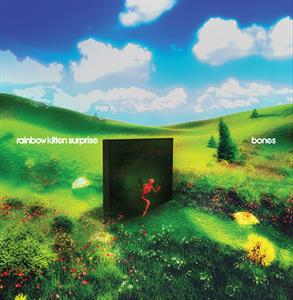 Rainbow Kitten Surprise – Bones (1CD)