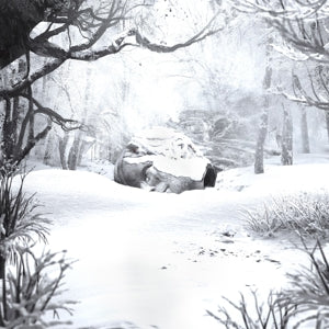 Weezer – Sznz: Winter cd