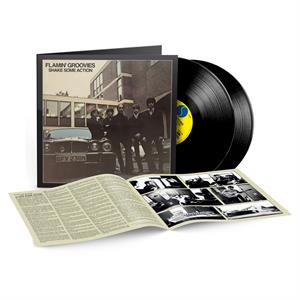 Flamin' Groovies – Shake Some Action (2LP Vinyl)