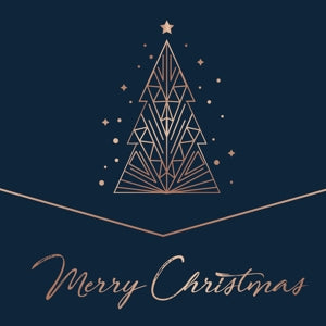 V/A – Merry Christmas vinyl
