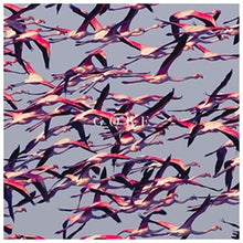 Deftones – Gore cd