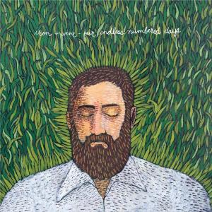 Iron & Wine – Our Endless Numbered Days (1LP Vinyl)