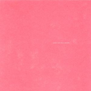 Sunny Day Real Estate – Lp2 (1CD)