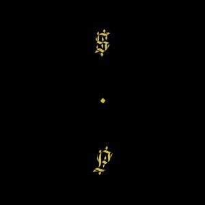 Shabazz Palaces – Black Up (1CD)