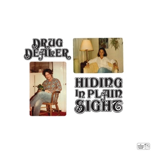 Drugdealer – Hiding In Plain Sight (1LP Vinyl)