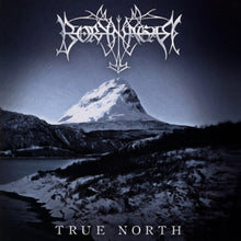 Borknagar – True North cd