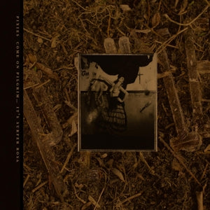 PIXIES – Come On Pilgrim... It's Surfer Rosa (3LP, farbiges Vinyl)