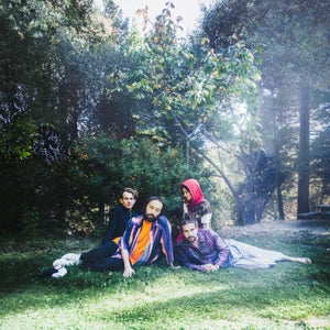 Big Thief – U.F.O.F. vinyl