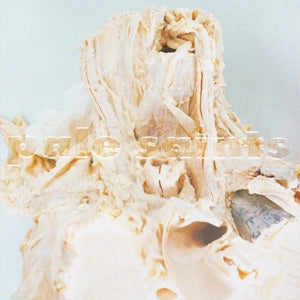Pale Saints – In Ribbons (1LP Vinyl)
