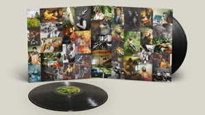 Big Thief – Dragon New Warm Mountain I Believe In You vinyl