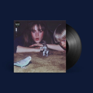Big Thief – Masterpiece vinyl