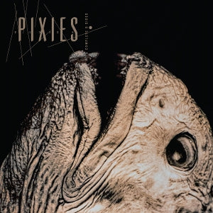Pixies – Complete B-Sides: 1988-97 cd
