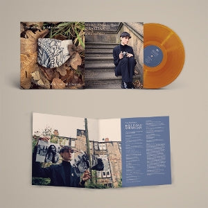 Belle & Sebastian – Late Developers vinyl