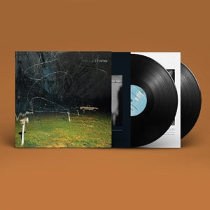 Yo La Tengo – This Stupid World vinyl