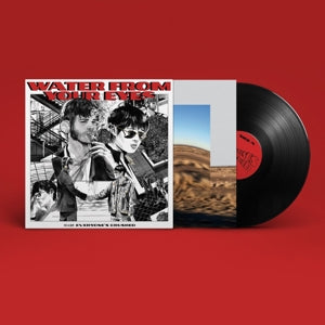 Water From Your Eyes – Everyone's Crushed (1LP Vinyl)