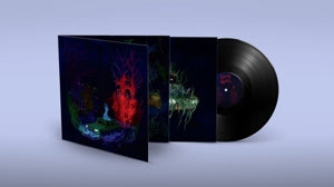Goat Girl – Below the Waste vinyl
