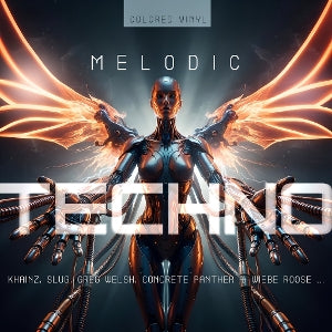 V/A – Melodic Techno 2026 vinyl