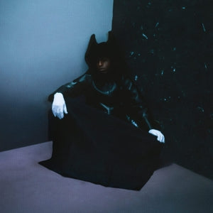 Bakar – Nobody's Home (1 CD)