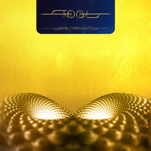 TOOL – Fear Inoculum vinyl