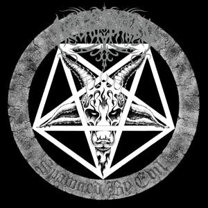 Necrophobic – Spawned By Evil (Re-Issue 2022) (1LP Vinyl, Neuauflage)