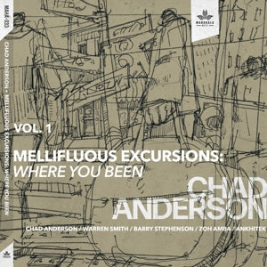 Chad Anderson – Mellifluous Excursions Vol.1: Where You Been (1CD)