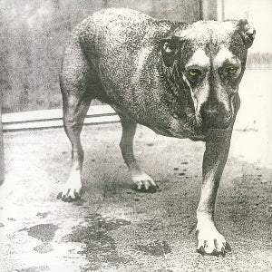 ALICE IN CHAINS – Alice In Chains (2LP, Coloured Vinyl, Reissue)