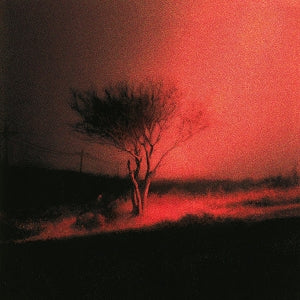 Joji – Piss In the Wind (1 CD)