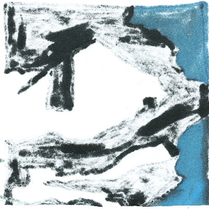 Accessory – Dust vinyl