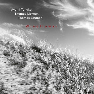 Ayumi Tanaka & Thomas Morgan & Thomas Strønen – Windflower (1CD)