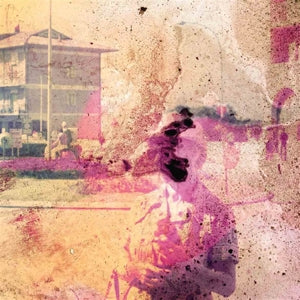 Sunflower – Spiders We Caught (1LP Vinyl)