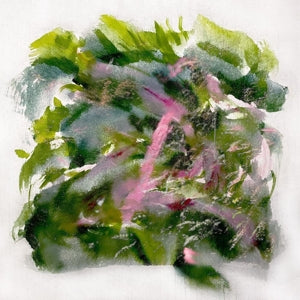 Mizu – Forest Scenes (1LP, Coloured Vinyl)