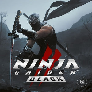 V/A – Ninja Gaiden Ii Black vinyl