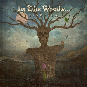 In the Woods... – Diversum cd