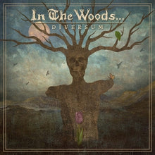 In the Woods... – Diversum cd
