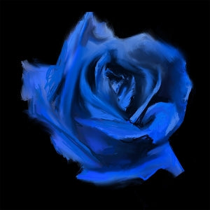 Joys, Current – Rosebud cd