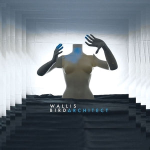 Bird, Wallis – Architect (1LP Vinyl)