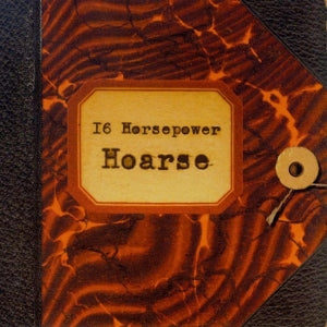 16 Horsepower – Hoarse (2LP Vinyl, Reissue)